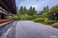 酬恩庵一休寺 新緑 6