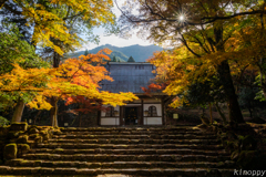 高源寺 紅葉 6