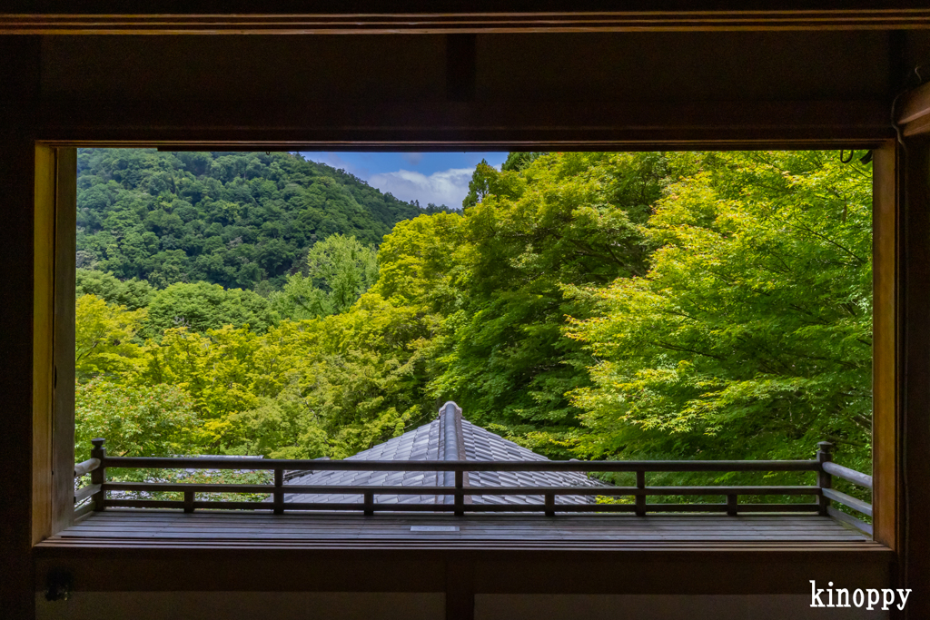 瑠璃光院 6