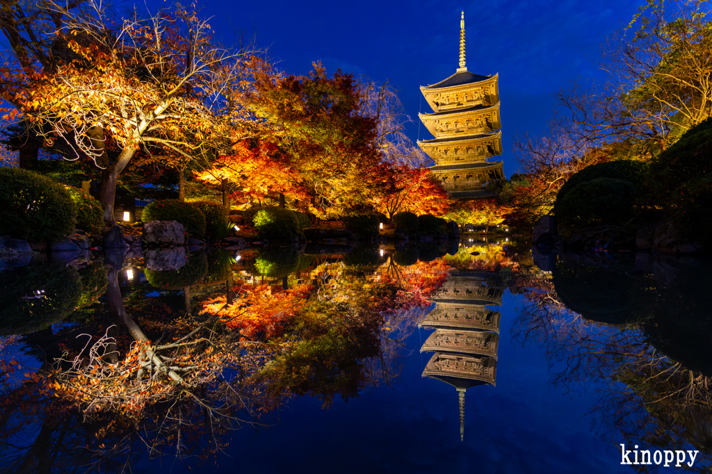 東寺 ライトアップ