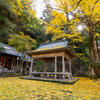 岩戸落葉神社 紅葉 2
