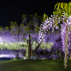 岡山和気藤公園 ライトアップ 6