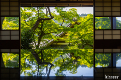 柳谷観音楊谷寺 12