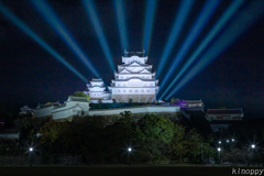 姫路城 シロノヒカリ 白鷺が輝く夜 5