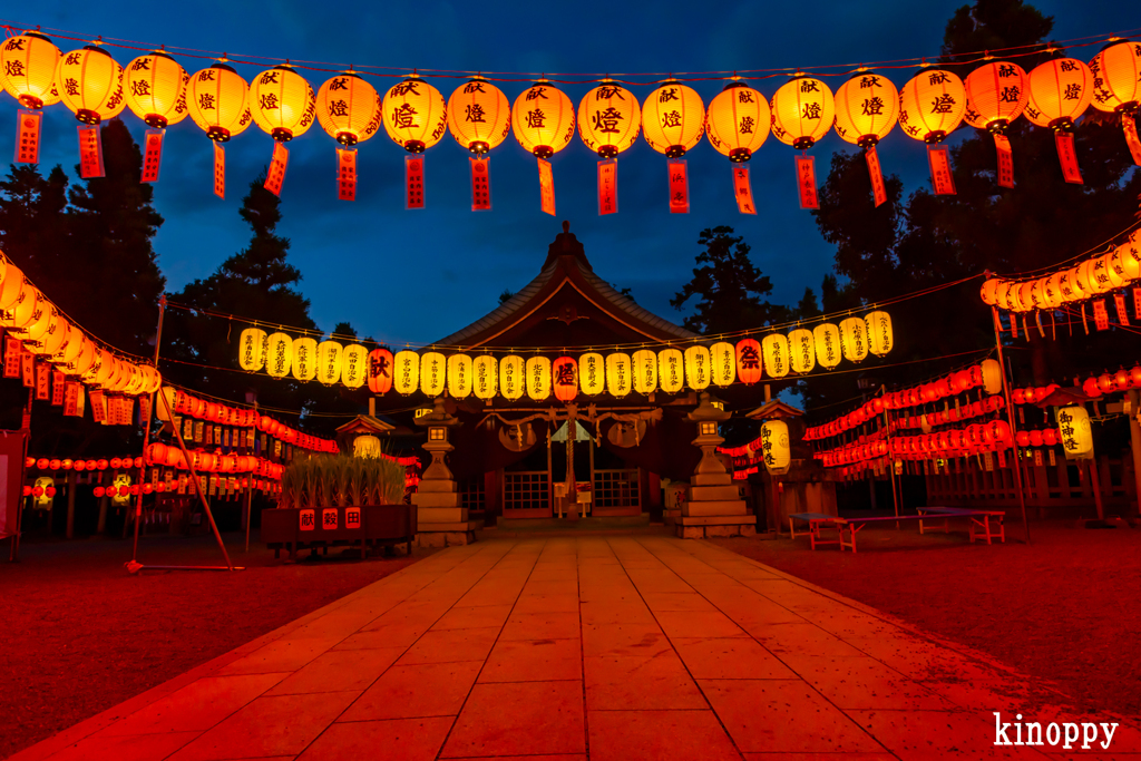 萱野神社 献灯祭 4