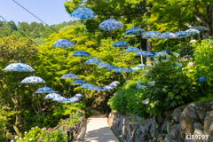 柳谷観音楊谷寺 9