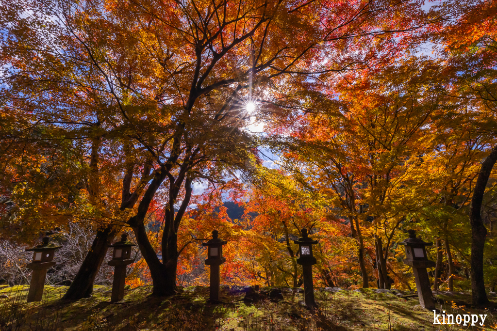 談山神社 紅葉 9