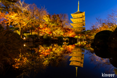 東寺 紅葉