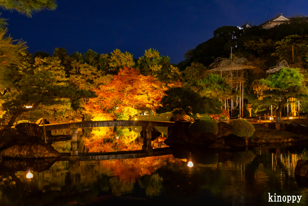好古園 紅葉 ライトアップ 3