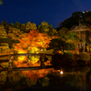 好古園 紅葉 ライトアップ 3