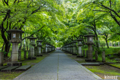 高山寺 新緑