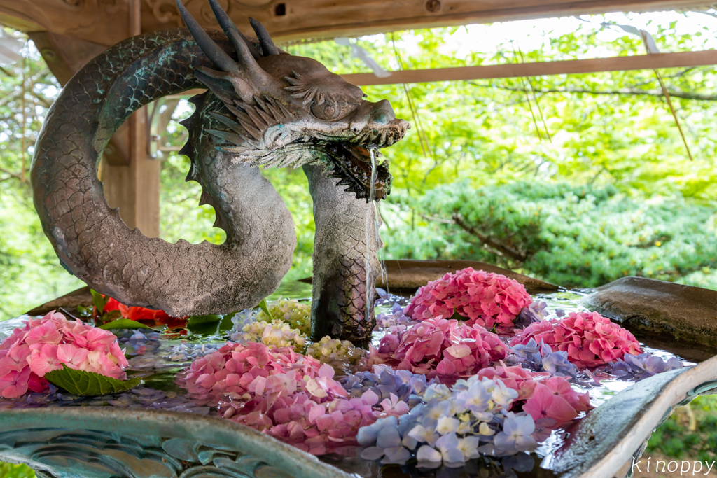 宮地嶽神社 奥の院 花手水 2