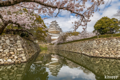 姫路城 春景色 4