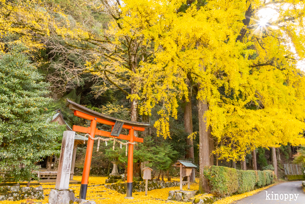 岩戸落葉神社 4