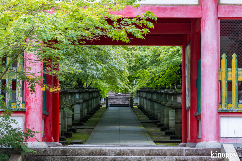 高山寺 新緑 8