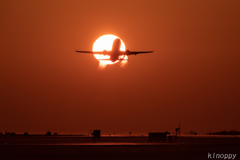 熊本空港 夕景 ANA526