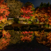 姫路城 好古園 紅葉 ライトアップ 8