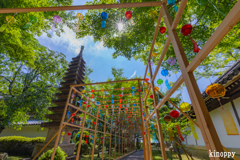 西教寺 風鈴 5