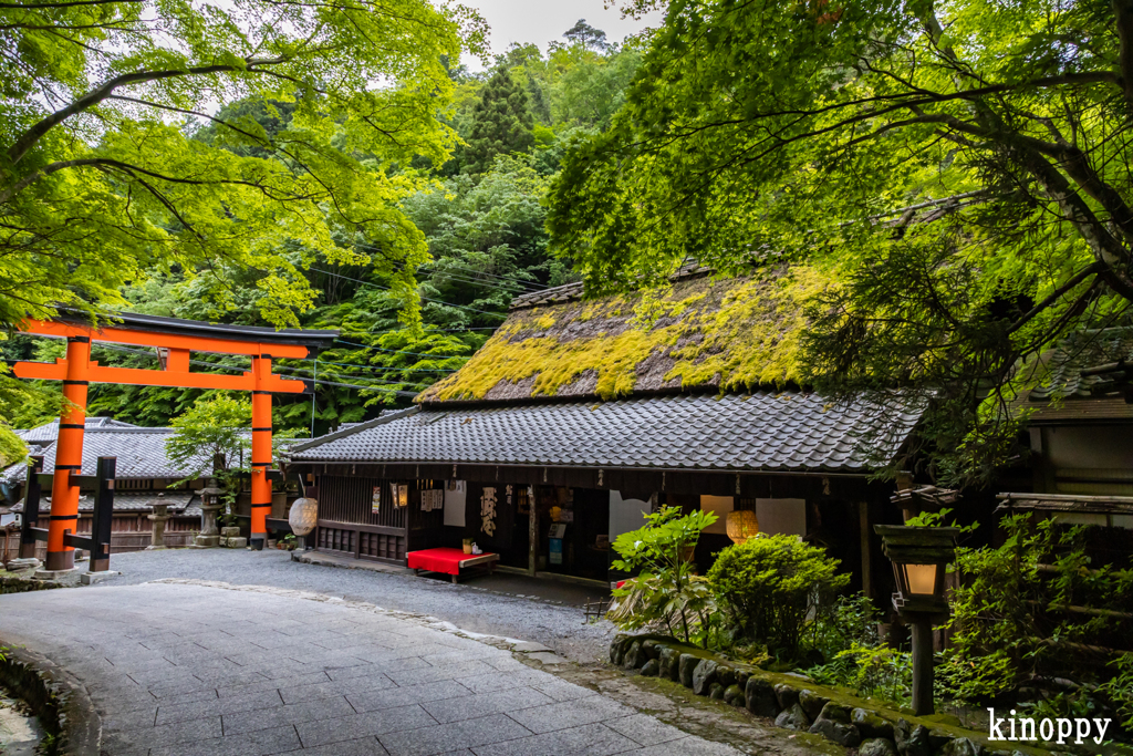 愛宕神社 一の鳥居