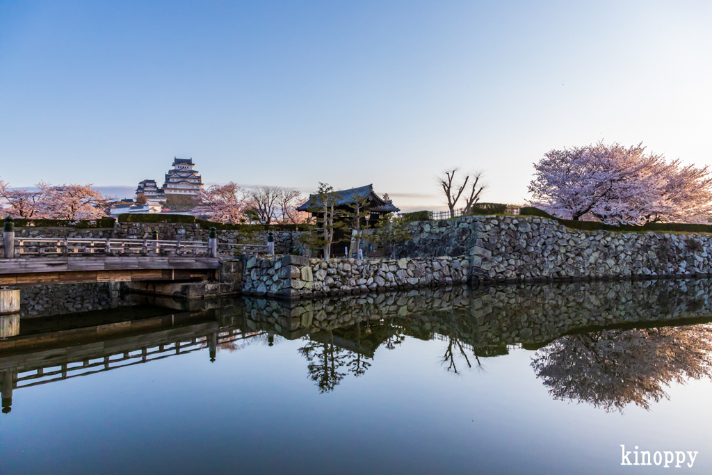 姫路城 春景色 3