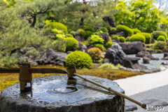 妙満寺 7