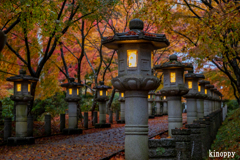 高山寺 紅葉 4