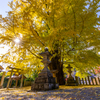 素盞雄神社 紅葉 3