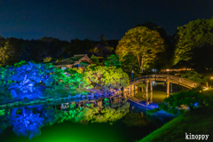 岡山後楽園 夏の幻想庭園 4