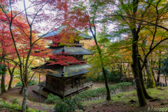 高源寺 紅葉 2