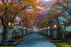 高山寺 紅葉