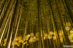嵐山月灯路 8