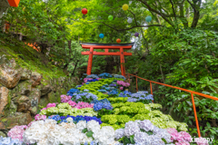 柳谷観音楊谷寺