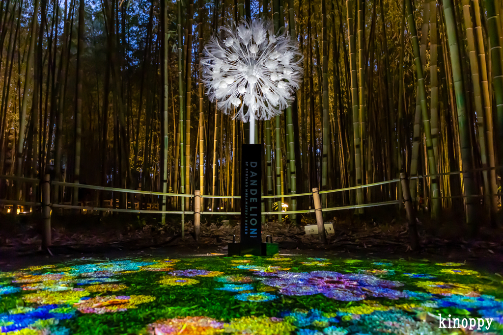 嵐山花灯路 9