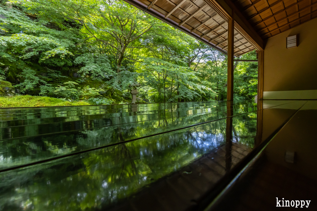 瑠璃光院 5