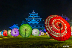 岡山城 夏の烏城灯源郷 2