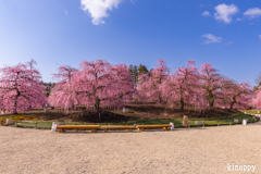 鈴鹿の森庭園 4