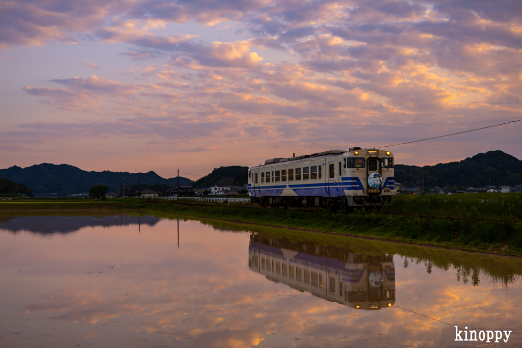 北条鉄道 夕景 5