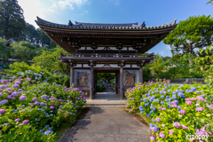 丹州観音寺 2