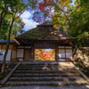 法然院 紅葉