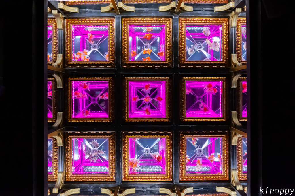 アートアクアリウム 大阪 4