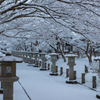 高山寺 雪景色 3