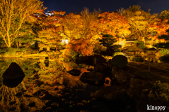 好古園 紅葉 ライトアップ 5