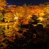 好古園 紅葉 ライトアップ 5