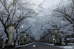 高山寺 雪景色