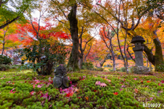 圓光寺 紅葉 8