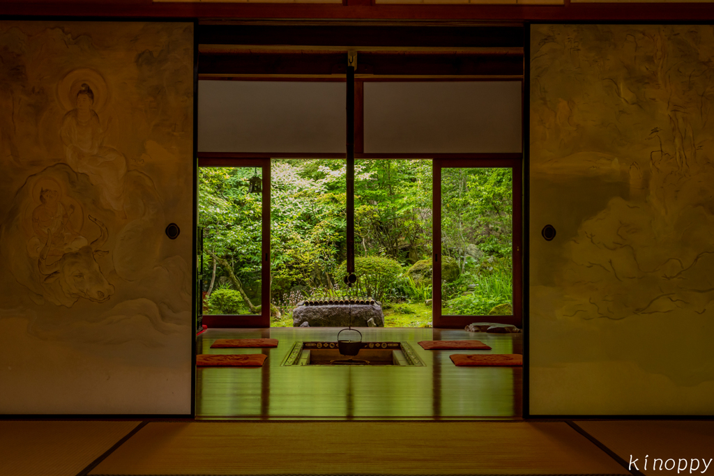 宝泉院 新緑 6