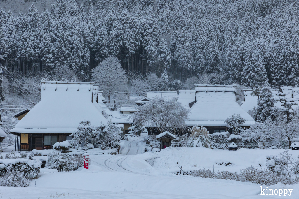 かやぶきの里 雪景色 5