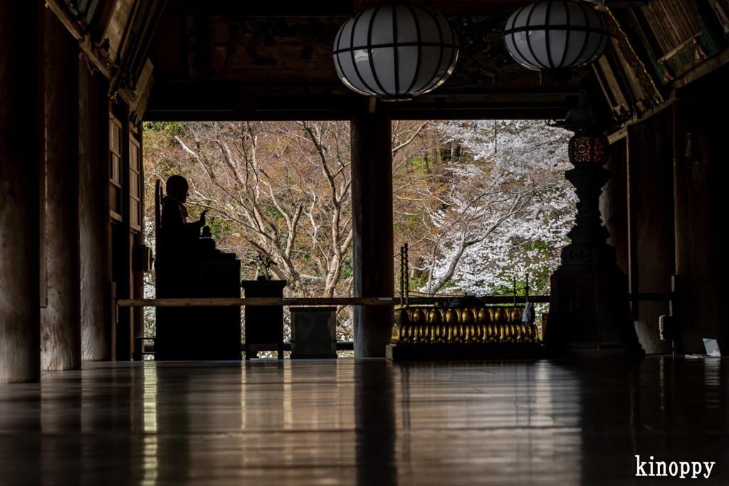 長谷寺 春景色 4