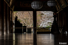 長谷寺 春景色 4