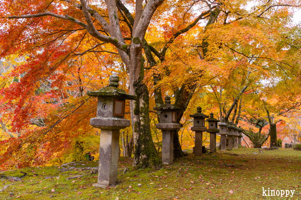 談山神社 紅葉 10